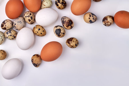 Different eggs and copy space.