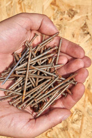 A pile of metal nails in the palms of human hands.