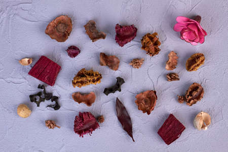 Flat lay various dry flower petals on white background.の写真素材