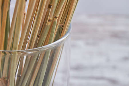 Close-up macro view stems in the glass vase.