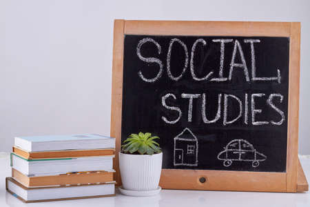 Blackboard with houseplant and stack of books. Social studies concept.