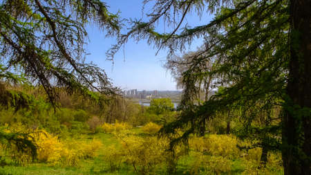 Beautiful city park on a summer sunny day. Cityscape in the background. Botanical garden in spring...