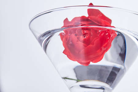 Close up red flower in a water isolated on white. Transparent cocktail drink.の写真素材