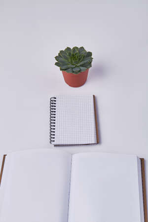 Vertical shot of blank notepads with houseplant. Top view white background.の写真素材
