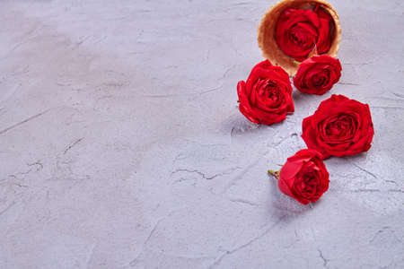 Red rose flowers and copy space on putty surface. Valentines day and love concept.の写真素材