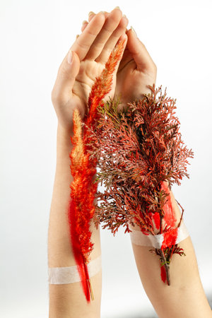 Concept of trees as a plannet vital resoruce. Vertical shot white background.の写真素材