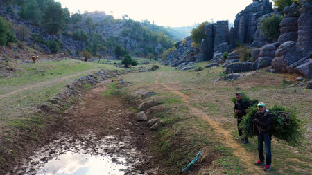 Adam Kayalar,Turkey - 03.11.2019: Farmers carrying branches on their backs. Majestic rock formations in the background.のeditorial素材