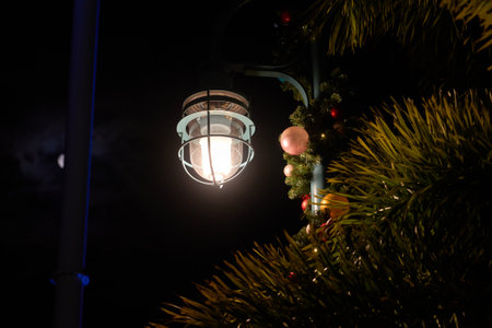 A bright lantern on a garland-wrapped lamppost shines beside palm leaves while the moon hangs in the...