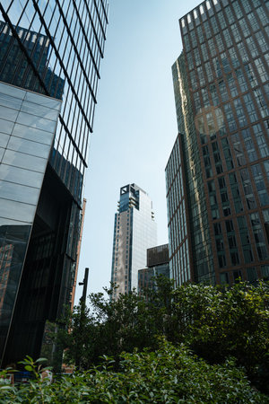Tall residential and office buildings rise above lush green plants in Manhattan, New York City....