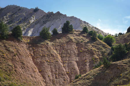 Beldersay mountains, the view from the mountain, the mountain on which trees grow. Uzbekistan.