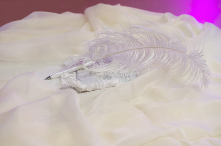 Pen with a beautiful feather on a wedding at the silk material and the cushion, close upの写真素材