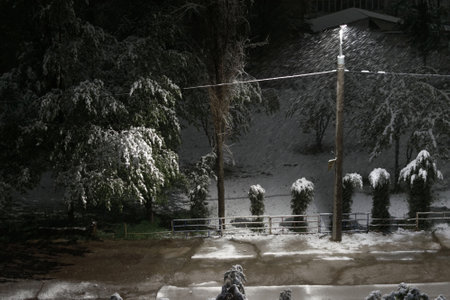 Night winter landscape, snowfall on the background of a lantern and green treesの写真素材