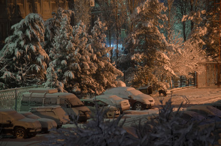 Winter night landscape, Christmas trees and cars in the Parking lot are covered with snow and illuminated by a lanternのeditorial素材