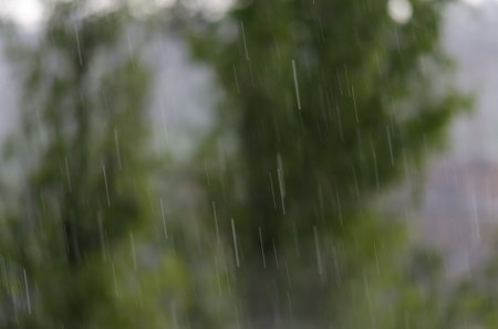 Blurred raindrops on the glass against the background of a blurred green tree