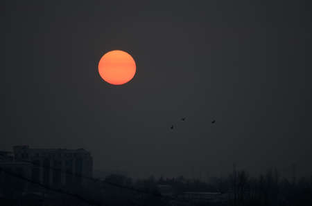 Sunset on a cold autumn day against the background of the cityの写真素材