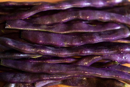 Fresh purple bean pods, close-upの写真素材