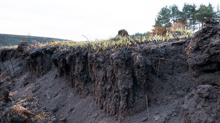 Countryside dirt road rising on a hill, natural landscape. Young green grass grows on a burnt-out field.の写真素材