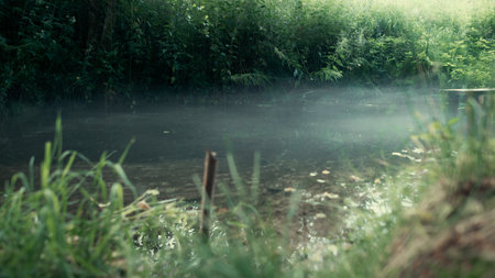 Smoke over the pond in the middle of the grass.の写真素材