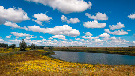 The pond, yellow field grasses blooming on its banks and white clouds in the blue sky. Natural...