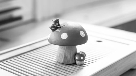 A small frog sitting on a fly agaric. Clay tea figurine, teapet. Black and white photo.の写真素材