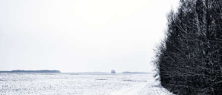 A snow-covered field and the edge of the forest. Panoramic winter landscape.の写真素材