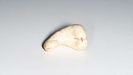 One piece of raw cashew on white backgroundの写真素材