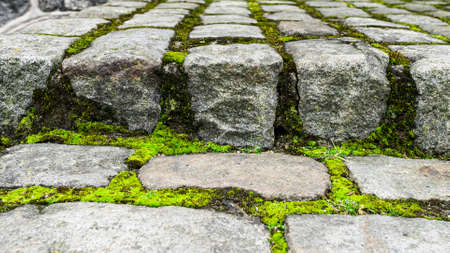 Texture of stones and moss, stone stepsの写真素材