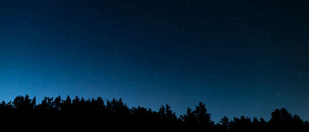 The starry night sky above the silhouette of the forest. The Andromeda Galaxy, the constellations of Giraffe, Cassiopeiaの写真素材