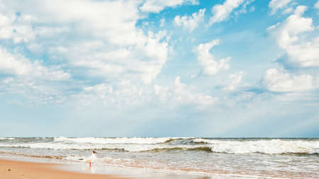 Seagull on a sandy beach against the background of the Baltic Seaの写真素材