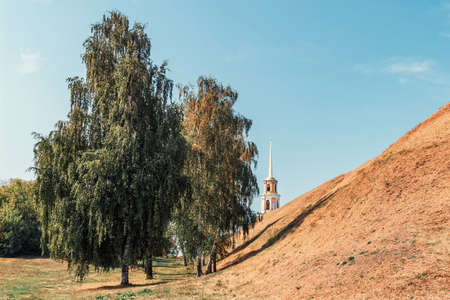 The birch trees growing on the hill in summer