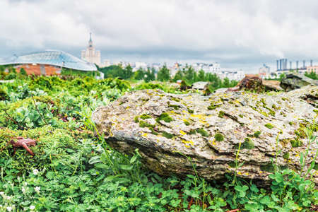 Stone covered with moss and lichen against a view of Moscow in Zaryadye Park, a natural landscape in the cityの写真素材
