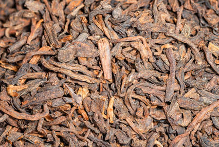 Strongly fermented Chinese Shu Puer Gong Ting Jin Ya or Palace Golden Budsの写真素材
