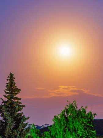 Moon and diffused moonlight in a purple sky among the roofs of houses and treesの写真素材