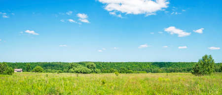 A wall of forest, a wide panorama of the natural landscape on a clear day with clouds in the sky and a small houseの写真素材