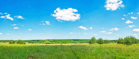 A wide panorama of the natural landscape on a clear summer day. Meadow with grasses, forest, sky with cloudsの写真素材