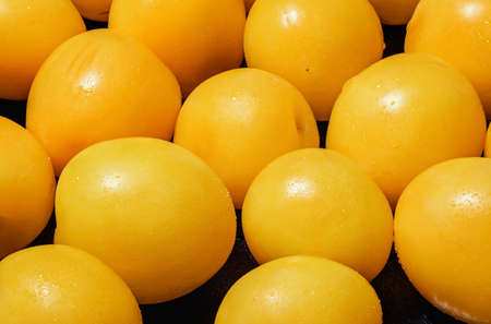 Lots of fresh yellow plums on a black background, close-up macroの写真素材