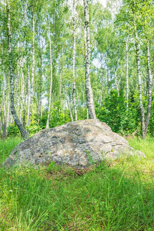 A large ancient sacred boulder stone, Sledovik, covered with lichen in a birch forest in the Orel region, Russiaの写真素材