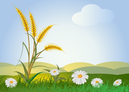 ears of wheat with landscape, sky and flowers のイラスト素材
