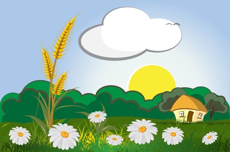 agriculture landscape with wheat and house のイラスト素材