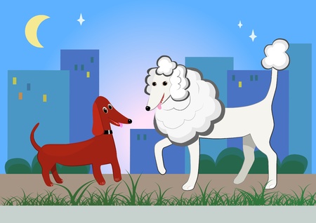 walking dogs in the evening townのイラスト素材