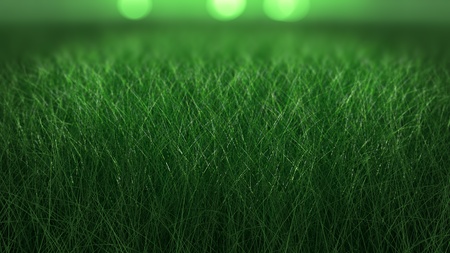 Close up backdrop of fresh thick grassの写真素材