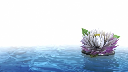 decorative holiday background flower with stone on the waterの写真素材