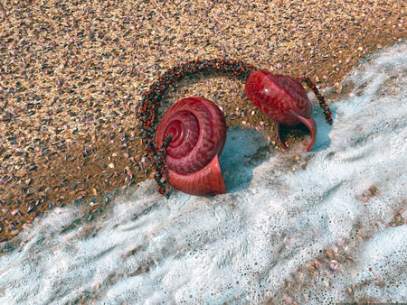 headphones from seashells on the sand as vacation tourism relaxing concept 