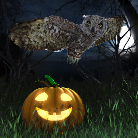 Halloween pumpkin and owl in night forest holiday backgroundの写真素材