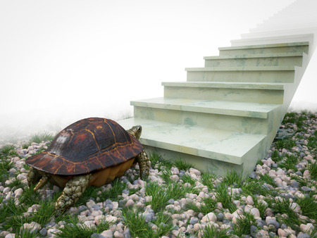 moving turtle wants to climb on the stairs concept backgroundの写真素材