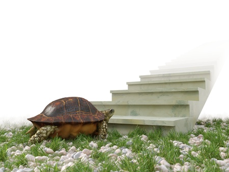 moving turtle wants to climb on the stairs concept backgroundの写真素材