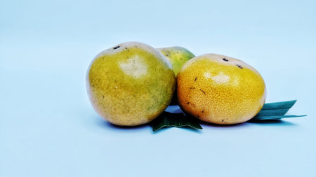 Orange fruit on grey background