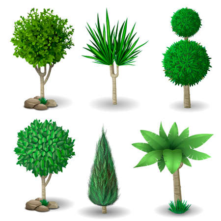 Set of ornamental plants and trees for landscaping. Vector graphics. Boxwood, hibiscus and arborvitae tree.のイラスト素材