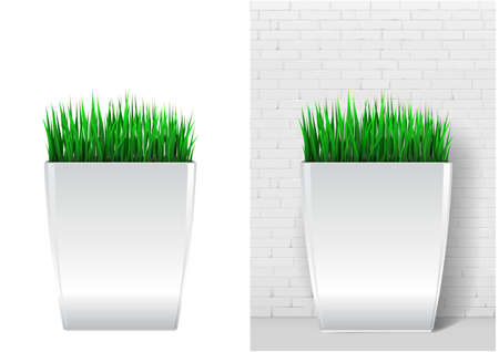 Grass plant in modern white pot. Decorative evergreen plant in a garden pot in vector graphics on a white backgroundのイラスト素材
