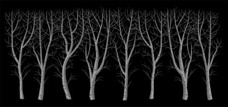 Vector graphics. Winter bare bush without leaves. Row of plants. Green hedge. Plants and treesのイラスト素材